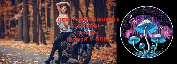 амф Алзамай